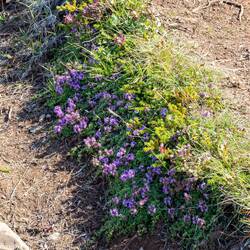 So langsam kündigt sich der Herbst an