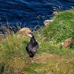 Ein letzter Blick zurück...
