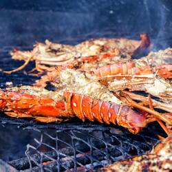 Grilled lobster. About 20-30 USD/piece, depending on the size and location of the grill.
