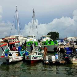 Departure to Caye Caulker from the harbour of Belize City.