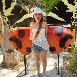Papillon