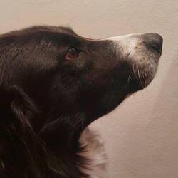 Du warst eine super Gesellschaft. Danke!