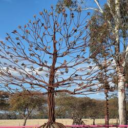 Once Upon A Time Lanescape Festival