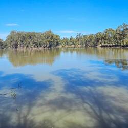 Goondiwindi Customs House Museum