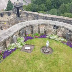 Das ist ein Hundefriedhof.🥺 Hier wurden würdige Vierbeiner beerdigt.