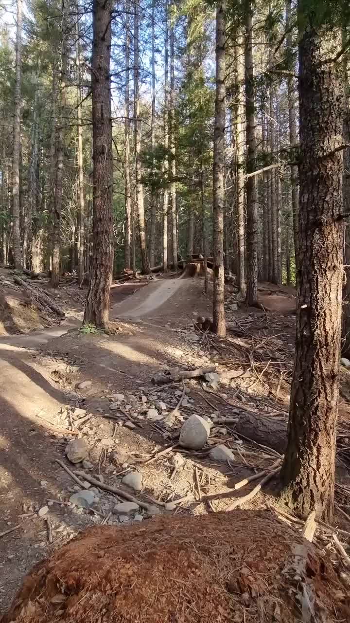 Step up step down