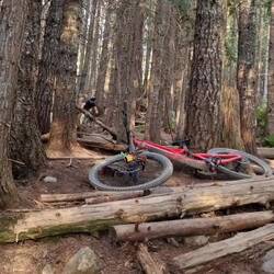 Trail gap