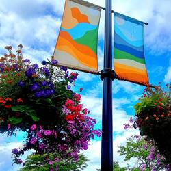 Ladysmith