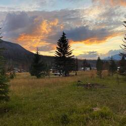 In Jasper campen wir auf dem bisher grössten Campground mit 768! Plätzen - und trotzdem schön