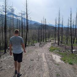 Die Landschaft war sehr karg aufgrund eines riesen Waldbrandes letzten Sommer