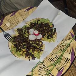 Ned mis Znacht gsi, aber 1 Heuschrecke hani probiert.. gspässig sägi nur