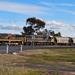 32 carriage grain train passing through Yelarbon