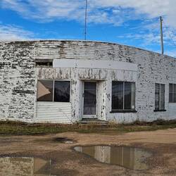 Looking a bit tired in Yelarbon