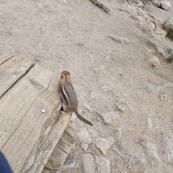 Kommt dann zur mir auf die Bank ...