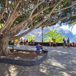 Mit musikalischer Untermalung