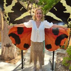 A joyous butterfly
