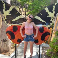 A cool butterfly