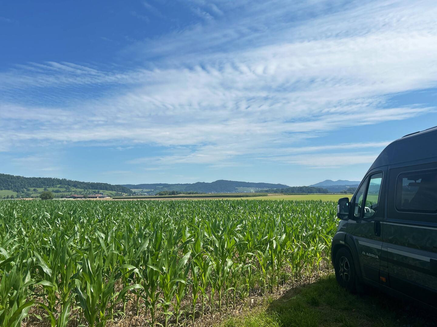 der erste hundestopp birrfeld