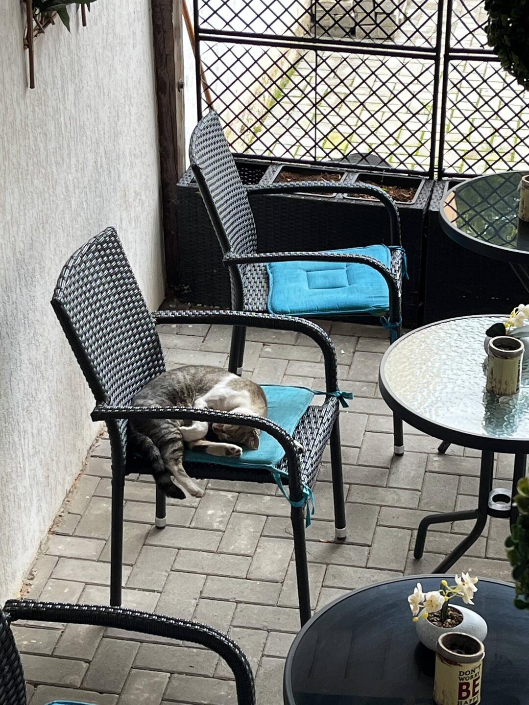 Heute Morgen in Brașov