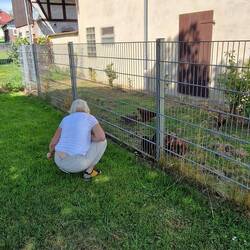 Elke redet dem Wecker gut zu, dass er nicht vor 8 Uhr krähen soll! 😂