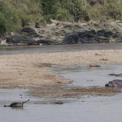 Reste vomne unglücklech verloffnige Crossing, Kroki wär am warte ufs nächste