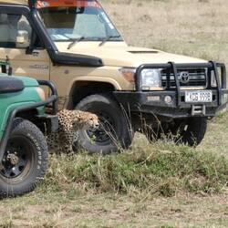 Im Schutz vode Outos am Jage