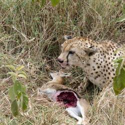 Ziel erreicht, Zmittag isch uftischet
