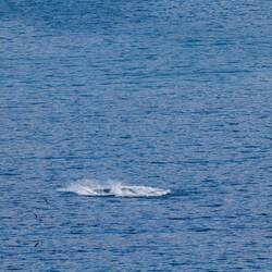 Was das wohl war....