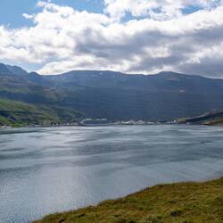 Man kann sich nicht dran satt sehen