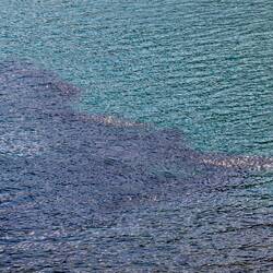 Auf jeden Fall gibt es hier ne Menge Fisch im Fjord