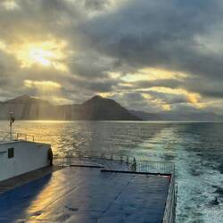 Letzte Schattenrisse