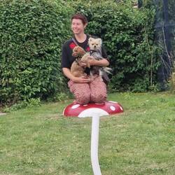 Another fun illusion