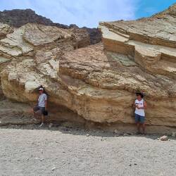 Auf der Suche nach Schatten bei 45°