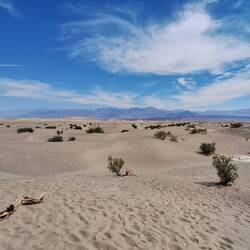 Mesquite Flat Sand Dunes