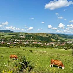 Rückblick auf Mărișelu