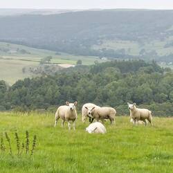 View en route to Edensor
