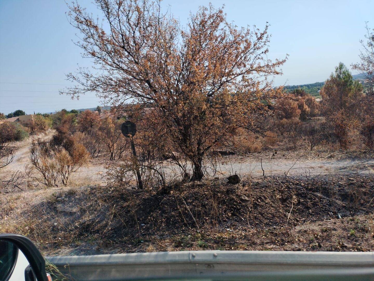 Estragos del fuego de ayer