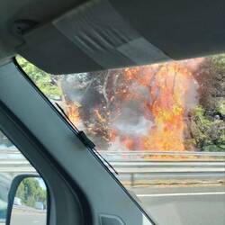 Pedazo de susto en la carretera