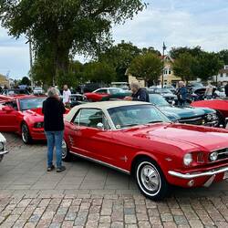 Das Oldtimertreffen direkt am Hafen. Einer gepflegter als der Andere.
