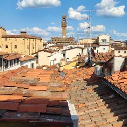The view from the bedroom