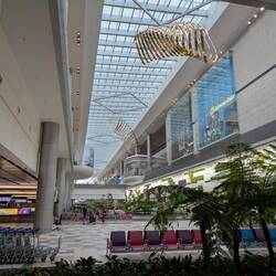 Bagage hal van Singapore