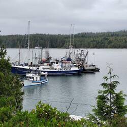 Ucluelet - der Fischereihafen