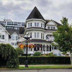 Very British teatime 🫖