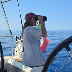 Ausguck nach Delfinen