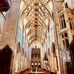 das Berner Münster