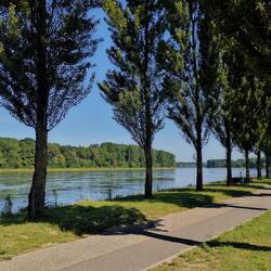 Rhine River near Leopoldshafen!