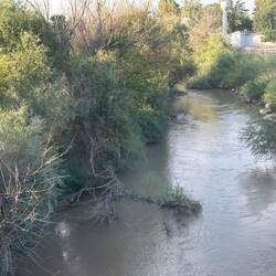 Grenze zu Kasachstan / Kazakh border