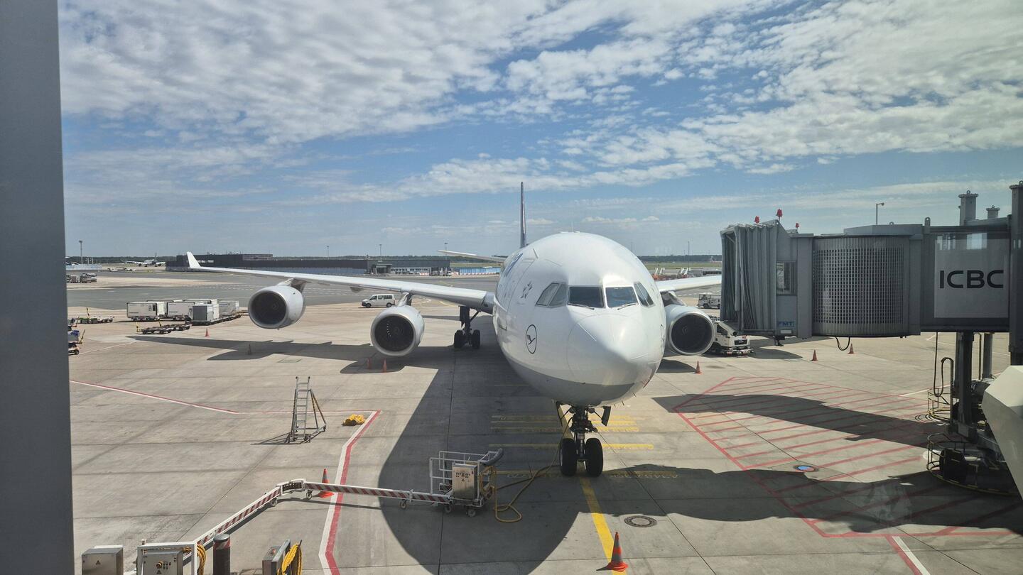 Het vogeltje naar Shanghai.