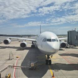 Het vogeltje naar Shanghai.