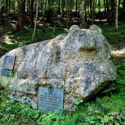Zur Erinnerung an den letzten Bär in Nord-Tirol. Geschossen 1898!